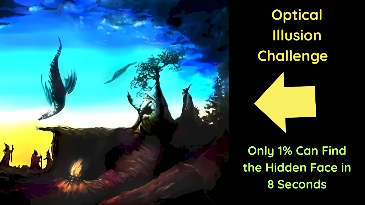 Optical Illusion Challenge
