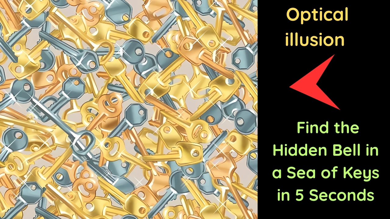 Optical Illusion Spot the Hidden Bell Among Keys